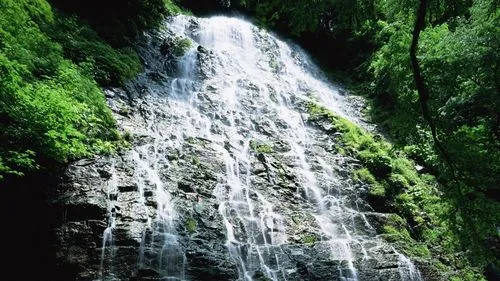 节能高质量智能系统
